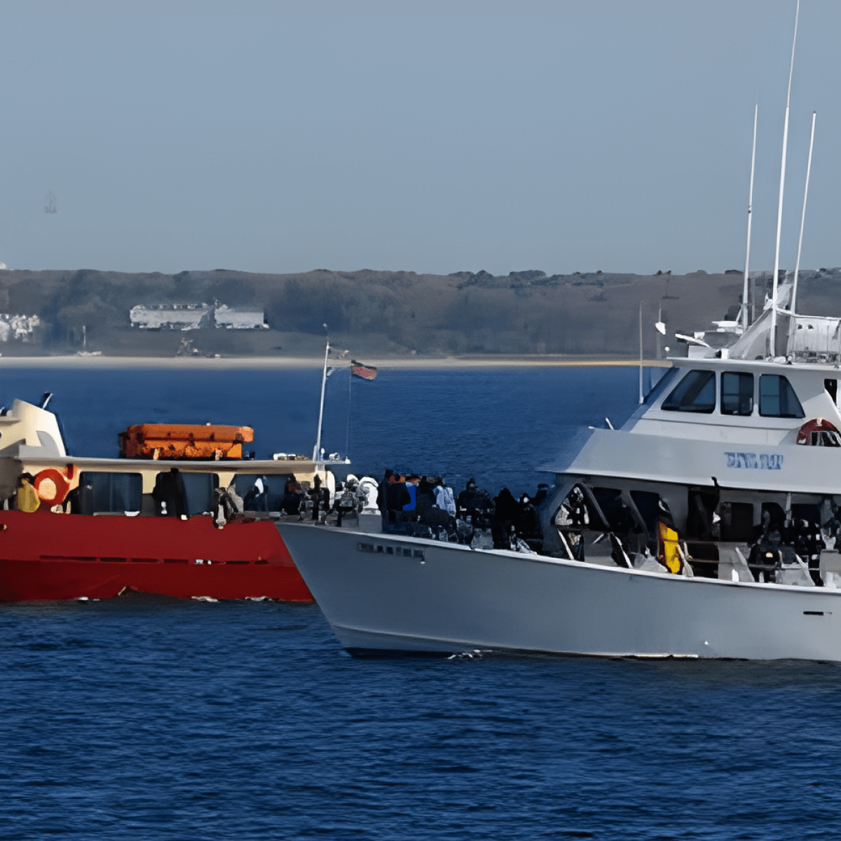 Two boats with people watching whales in the ocean.