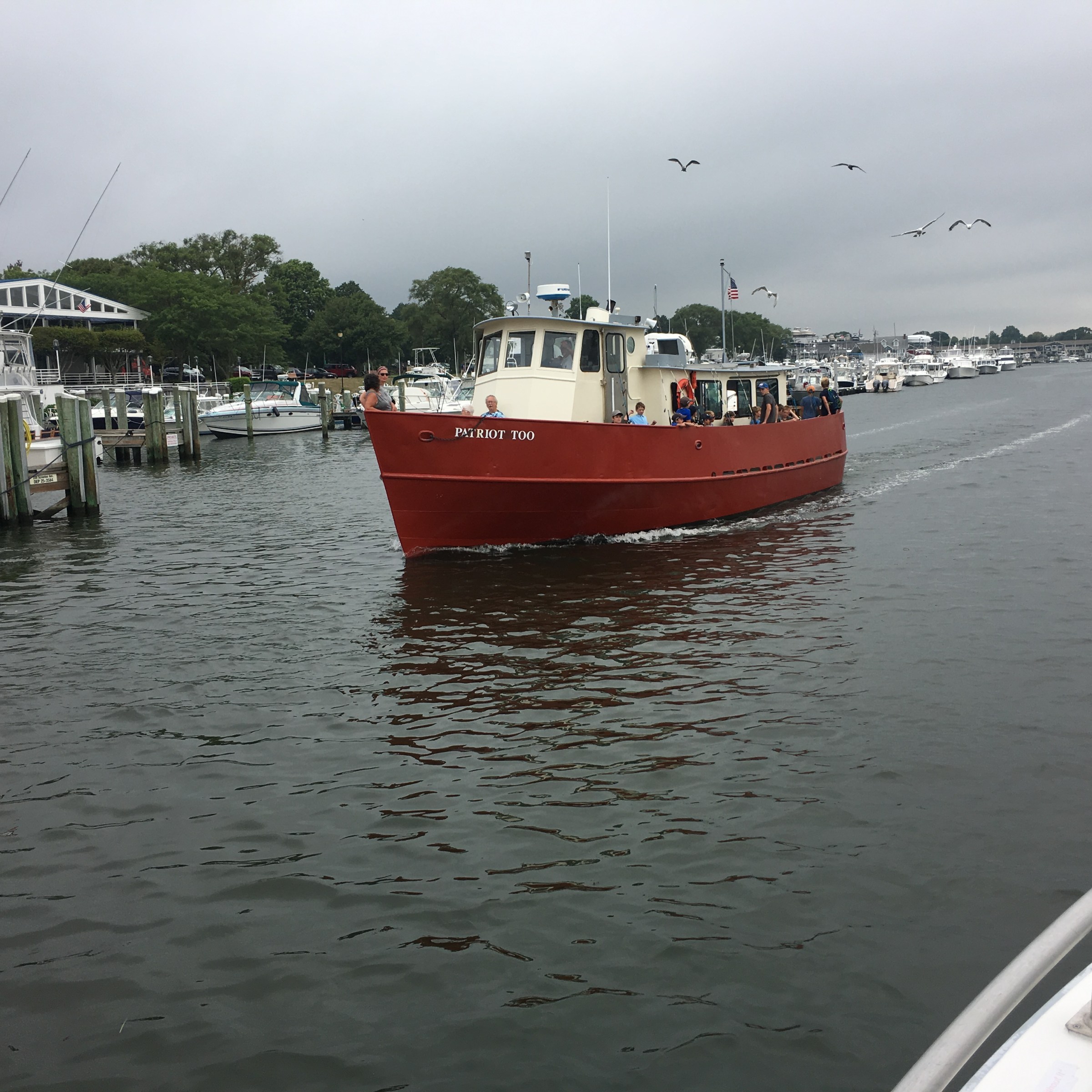 Red boat sailing on a cloudy day near a marina with trees in the background.