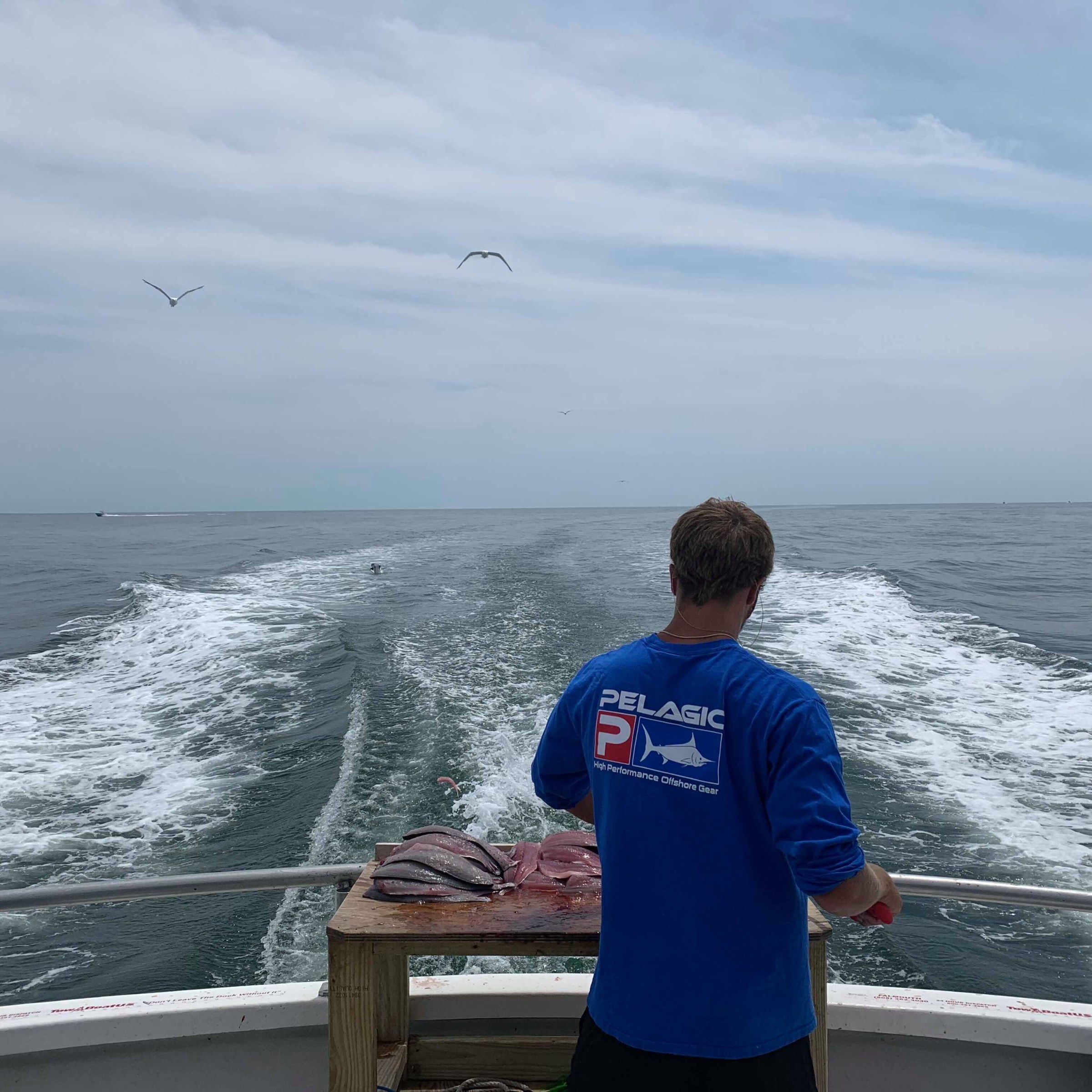 Person on boat with fishing rods, ocean and seagulls in the background.