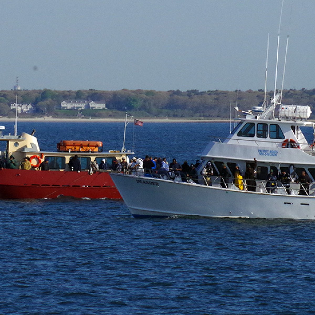 Two large boats with passengers on calm blue water under a clear sky.